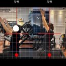 드라코짐 이미지