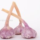 동수원요리전문학원 | 동수원요리전문학원 수업 분위기, 생각보다 좋았어!