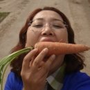 솔마당마을 이미지