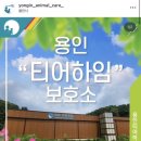 동물보호단체 카스카 | 약 10년 만에 정기후원하던 동물보호단체를 변경했다. 진정성이 느껴지는 사단법인 용인시 동물 보호...