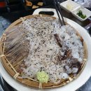 짱산오징어
