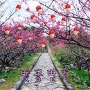 플러스스포츠 이미지