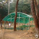 신숭겸로2 티스토리