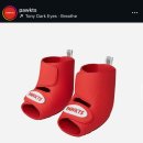 오로라펫 | 2025 11월 케이펫 페어 메가주 방문 후기인가 구매후기인가.