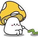 마장어린이집 이미지