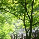 구곡2천 이미지