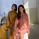 이다해 카카오 검색결과
