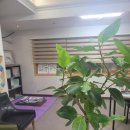 사주타로커피 이미지