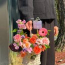 현진에버빌 후문사거리 | 수완지구 꽃집 라레브, 부모님 생신 선물로 감성 꽃다발 추천