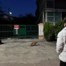 남선인테리어 이미지