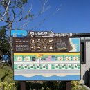 [경북 포항 캠핑장] 신창간이해변 오션뷰 '창바우마을 오토캠핑장'