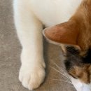 더하우스113(The house 113) 이미지