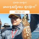 대야도 농어촌체험·휴양마을 이미지