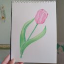 [주말]보테니컬 아트 이미지