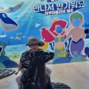 아쿠아테크 | 제주 아쿠아 플라넷 방문 후기