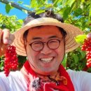 봉화소개골 오미자농원