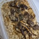 정셰프의 진심 파스타 이미지