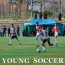 학성중학교 이미지