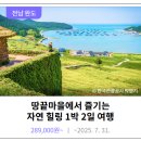 코리아두루여행사㈜ | 기차여행 1박2일 여행상품, 당일치기 여행지 추천, 코레일투어 예약