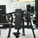 디렉스 PL 숄더 프레스 SSS급 급급급처 이미지