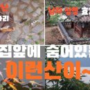 박수존정효각 이미지