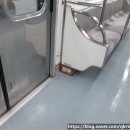 문화 비상-6호 이미지