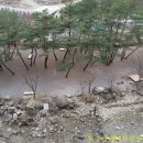 숲속가든 - 금산군 | 숲속가든