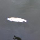 무지개낚시터 이미지