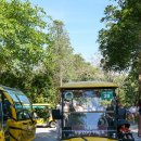 양산버드나무한의원 | 베트남 푸꾸옥 여행 #4 빈펄 사파리 입장권 버드쇼 꿀팁