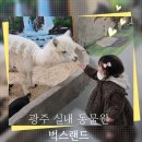 특별한동물가게광주점 | 광주 패밀리랜드 동물원 "광주 벅스랜드" 곤충체험부터 동물 먹이주기 체험 찐 후기