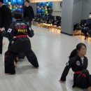 키즈한국태권도 이미지