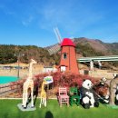 청도레일바이크 이미지