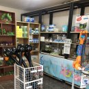 물고기마을 이미지