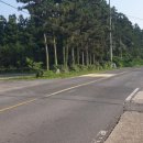 상창리-2 이미지