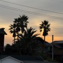 헤드홈탐라 이미지