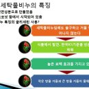 주부님들이여 고무장갑에서 해방 되세요~ 이미지