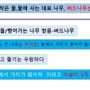 남지초등학교 이미지