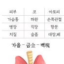 엘케이푸드 이미지