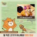 관문고기 이미지