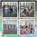 신화정 태권도 이미지