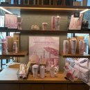 체리블러썸 | [스타벅스] 2026 체리블러썸 MD 실물 후기 가격 정보