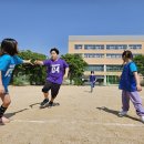 시흥도원초등학교 이미지