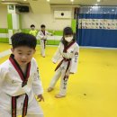 석사 경희대 승리 태권도장 | [석사경희대태권도] 초등부 2시 부 수업일지 💙