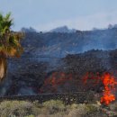 천은농장 이미지