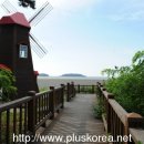 신기팜스테이빌리지 이미지