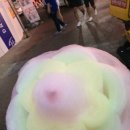 꽃솜이