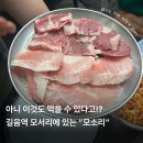 모소리