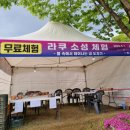 생활도자기(저녁) | [5월축제] 도자기축제투어_여주도자기축제 방문기