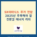 성남1호 태양광발전소 | SK이터닉스 주가 전망, 2025년 주목해야 할 친환경 에너지 리더