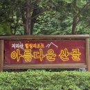 아름다운 산골 | [하동 숙소] 빠니보틀, 충주맨도 다녀간 "아름다운 산골" 꽃내음 (핀란드 사우나, 바베큐, 내돈내산)